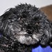 Essie Foster Photo 8