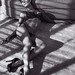 David Dinh Photo 6