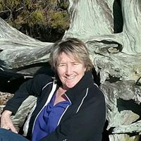 Jill Dillon Photo 27