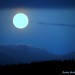 Andres Calderon Photo 28