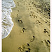 Sandy Frame Photo 7