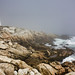 Terence Gray Photo 25