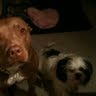 Kathy Phillips Photo 14