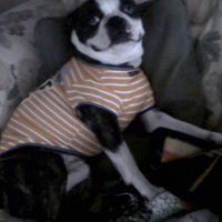 Jennifer Fairweather Photo 5