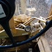 Jason Grader Photo 8