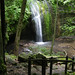Stephen Fall Photo 13