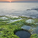David Singh Photo 26