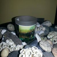 Mary Buckner Photo 10