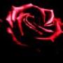 Ed Andrade Photo 15