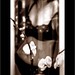 Kelly Ware Photo 29