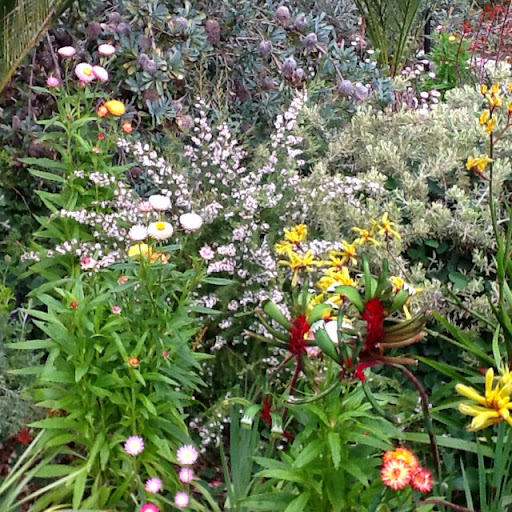 Brenda Campbell Photo 28