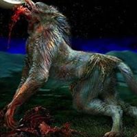 Harry Wolf Photo 23