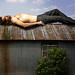 Aaron Bush Photo 11