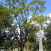 John Bradford Photo 26