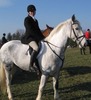 Gretchen Scott Photo 35