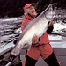 Tim Irwin Photo 26