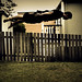 Mark Pollard Photo 9
