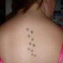 Stacie Martin Photo 30