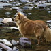 Cody Price Photo 16