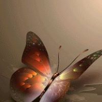 Diane Ellis Photo 24