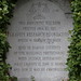 Gordon Stone Photo 23