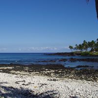 Forrest Greene Photo 28