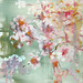 Melody Morrison Photo 29