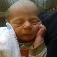 Michael Mayhew Photo 17
