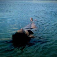 Leticia Lozano Photo 3