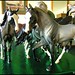 Joyce Savage Photo 21
