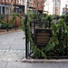 Jan Lovelace Photo 5