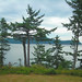 Darlene Lang Photo 10