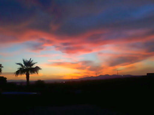 Misty Lyons Photo 2