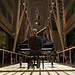 Martin Arnold Photo 32