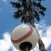 Rickey Robinson Photo 15
