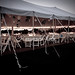 Lisa Hooper Photo 15