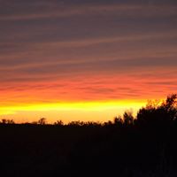 Susan Bentley Photo 34