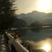 Marc Baer Photo 30