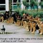 Kathy Cortes Photo 16