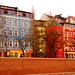 David Wolters Photo 27