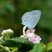 Holly Grantham Photo 10