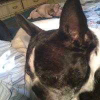 Janice Hurst Photo 9
