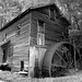 Georgia Dennis Photo 5