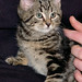 Wilma Browning Photo 12