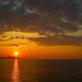 Ray Rhodes Photo 28