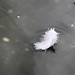 Brenda Feathers Photo 13