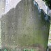 Elizabeth Buxton Photo 12