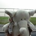 Sarah Humphreys Photo 15