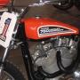 Bob Marek Photo 7