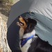 Brodie Chase Photo 14